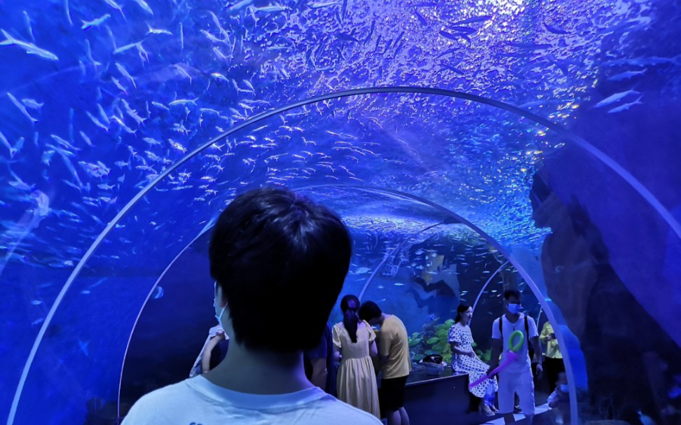 湘湖启动“湘湖我想对你说”全网征集邀市民共绘文旅新蓝图
