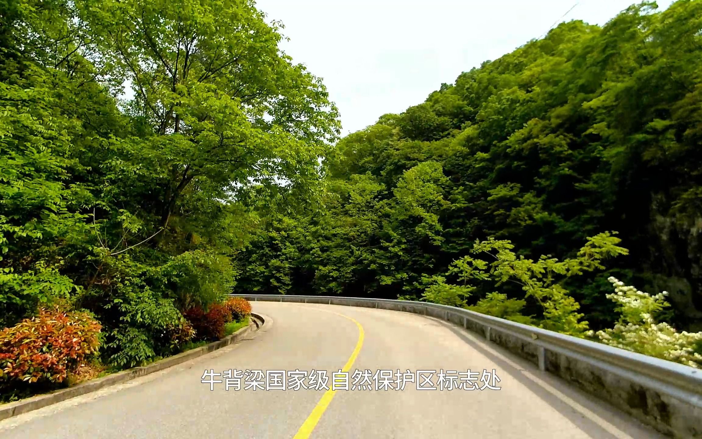 秦岭小环线自驾游(二),从广货街镇到营盘镇,穿越牛背梁生物圈哔哩哔哩bilibili