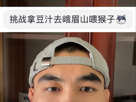 实锤了，峨眉山的猴子喜欢豆汁，下次还给他们带！！！！