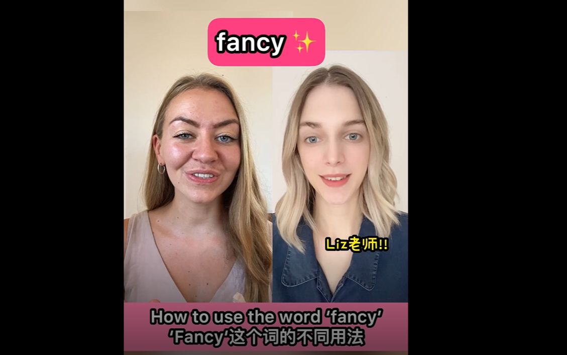 'Fancy' 这个词的不同用法哔哩哔哩bilibili