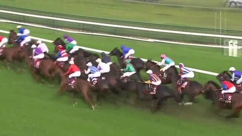 2012 2014年凯旋门赏 G1 合集 粤语 哔哩哔哩 Bilibili