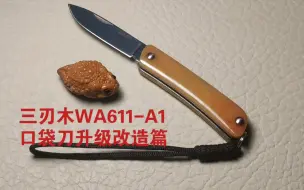 下载视频: 三刃木WA611-A1口袋刀手工升级牛骨贴片制作篇