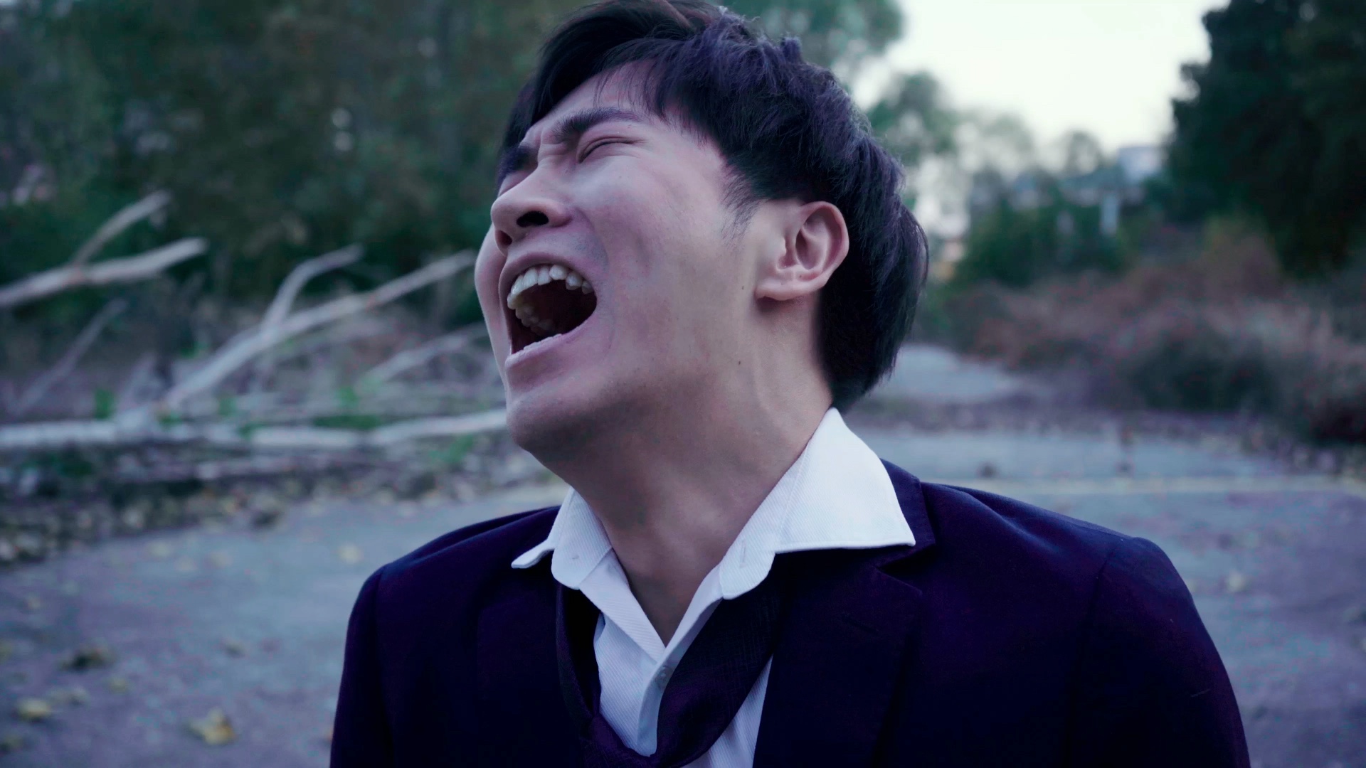 你听说过狼来了的故事吗