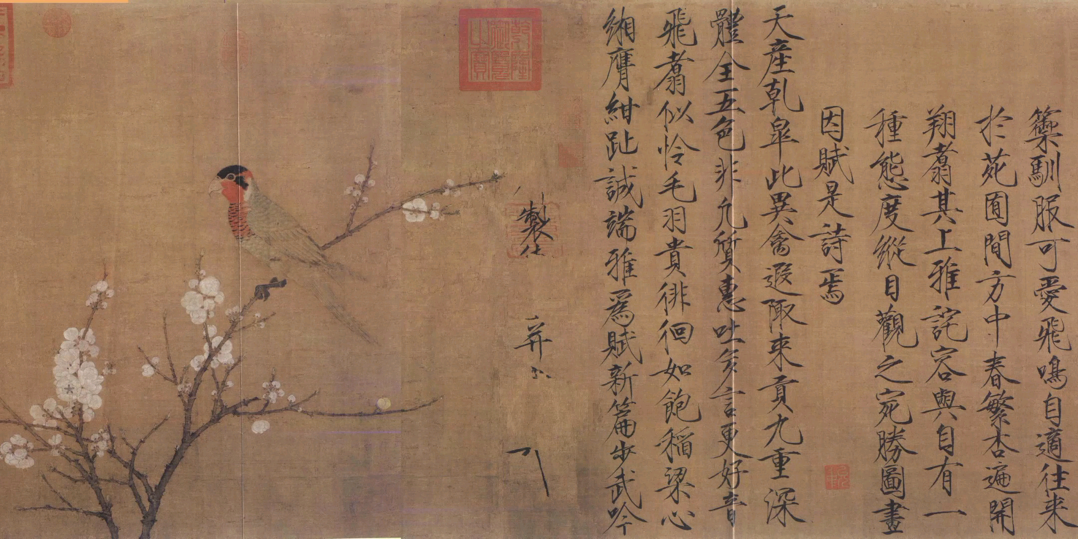 瘦金体书法之宋徽宗五色鹦鹉图《一》