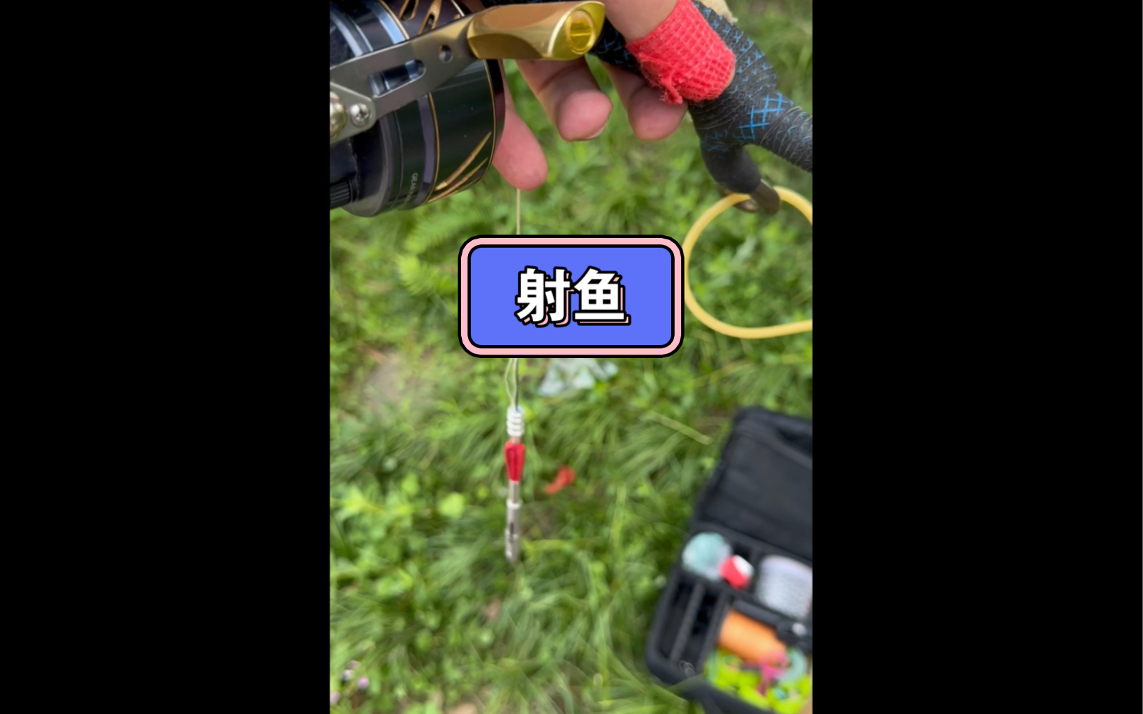 第一次弹弓射鱼.还可以.