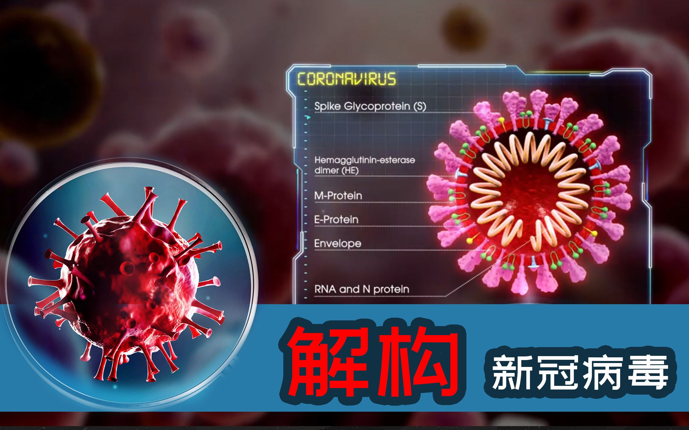 [图]【深度解读】带你全面了解新型冠状病毒