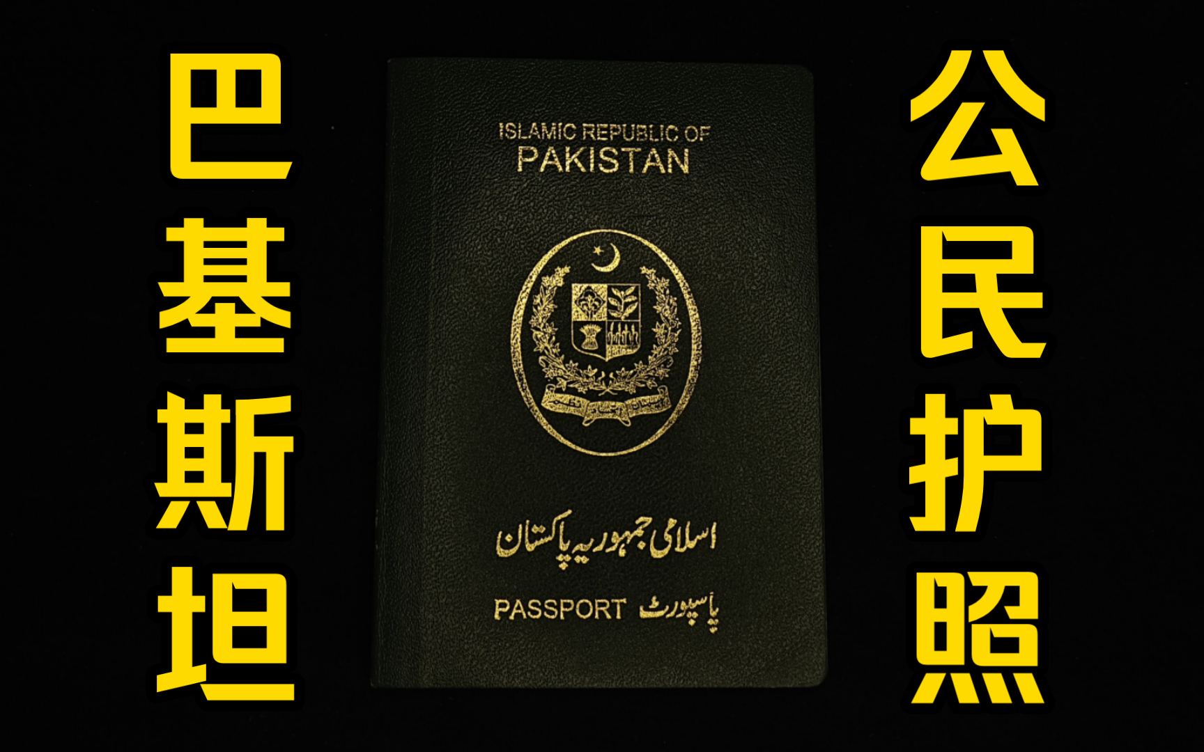 巴基斯坦护照全解图片