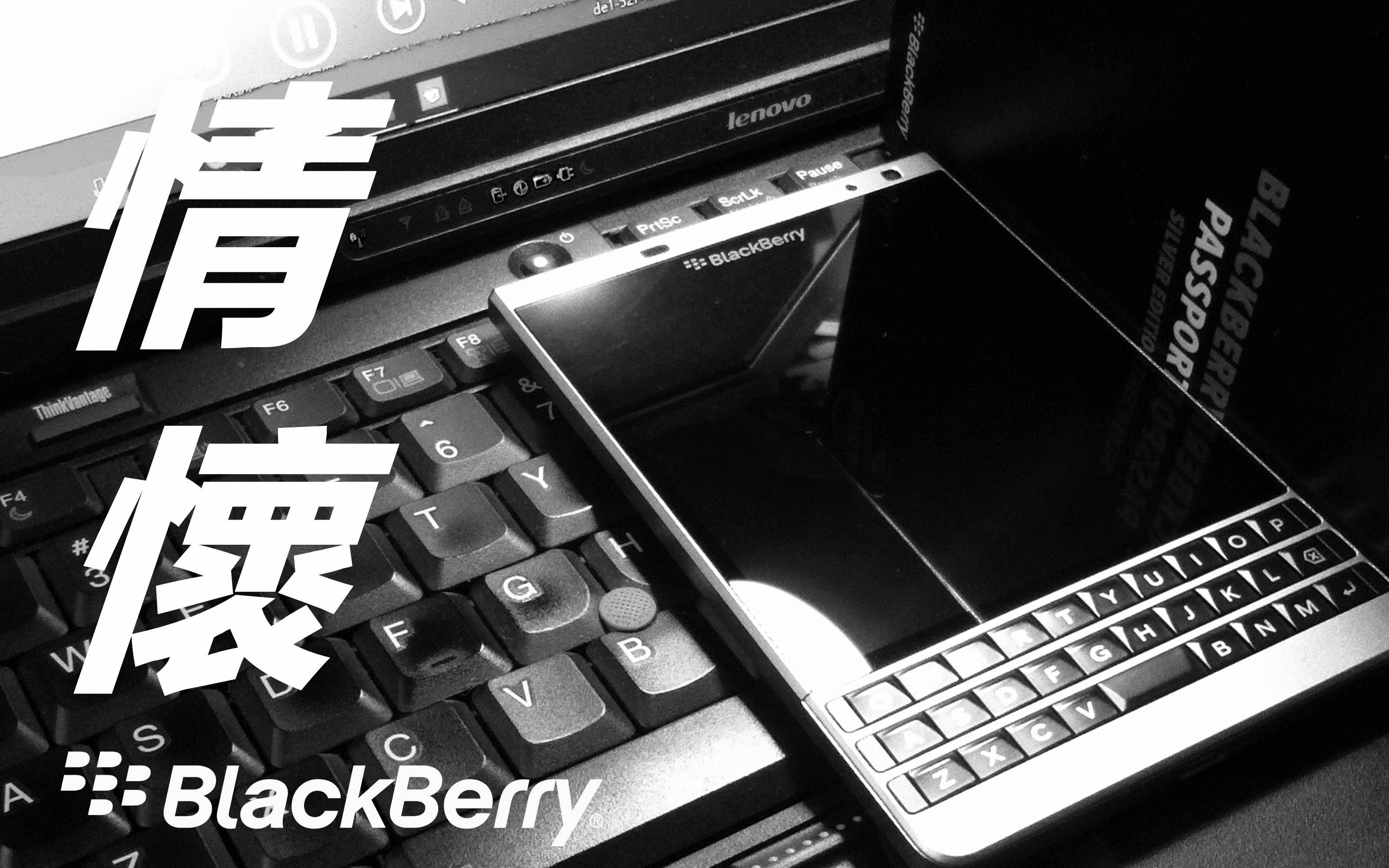 [图]我和黑莓｜BLACKBERRY AND I