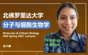 Download Video: 【北佛罗里达大学】细胞生物学（Molecular & Cellular Biology）【全35集】