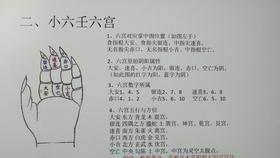 三分钟教你如何屈指一算小六壬 占卜方法 风水玄学算命六壬子平奇门易经八字灵感 哔哩哔哩 つロ干杯 Bilibili