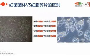 Download Video: 细胞污染与细胞碎片的区别