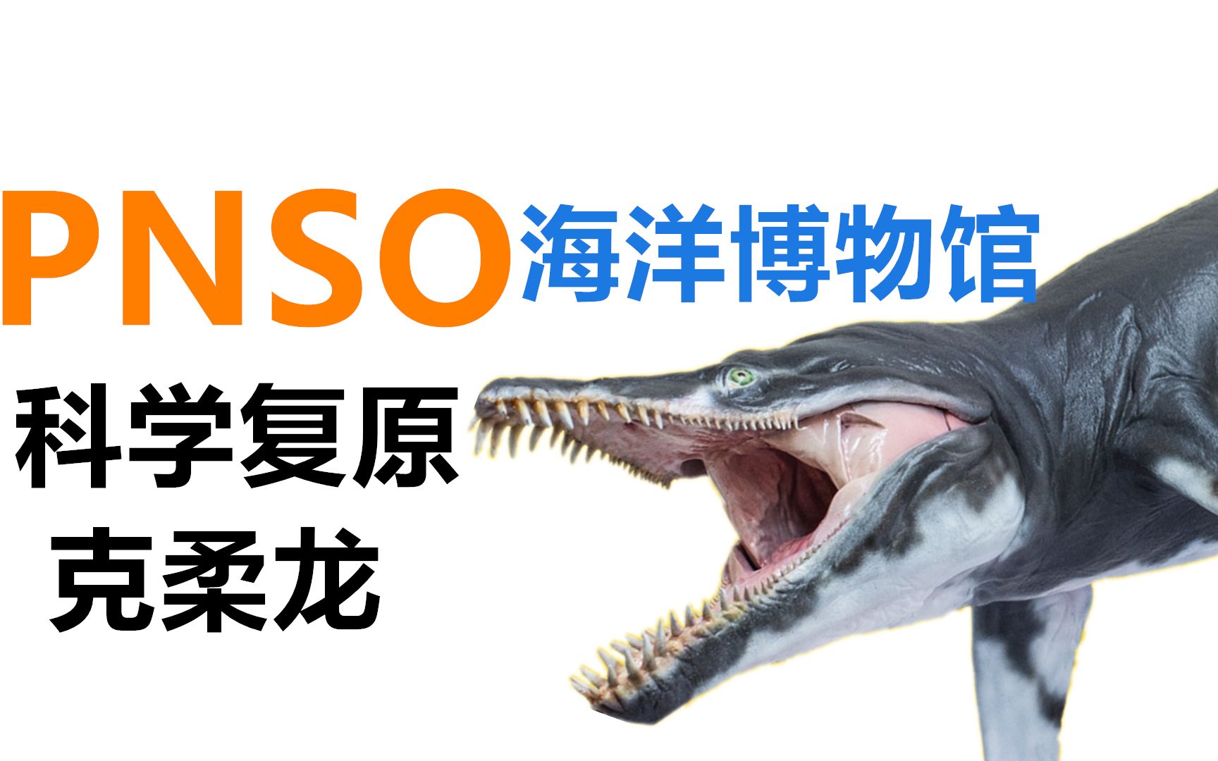 【模型评测】国内首款科学复原的克柔龙模型,不来了解一下?