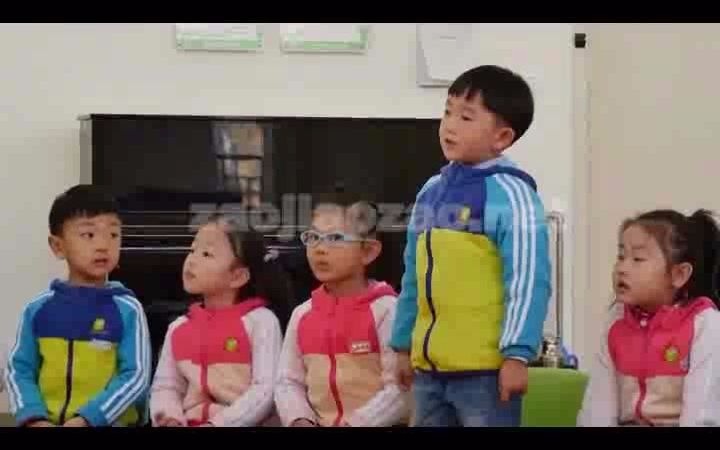 幼儿园优质课中班科学活动《动物的尾巴》有视频+教案+课件+音乐哔哩哔哩bilibili