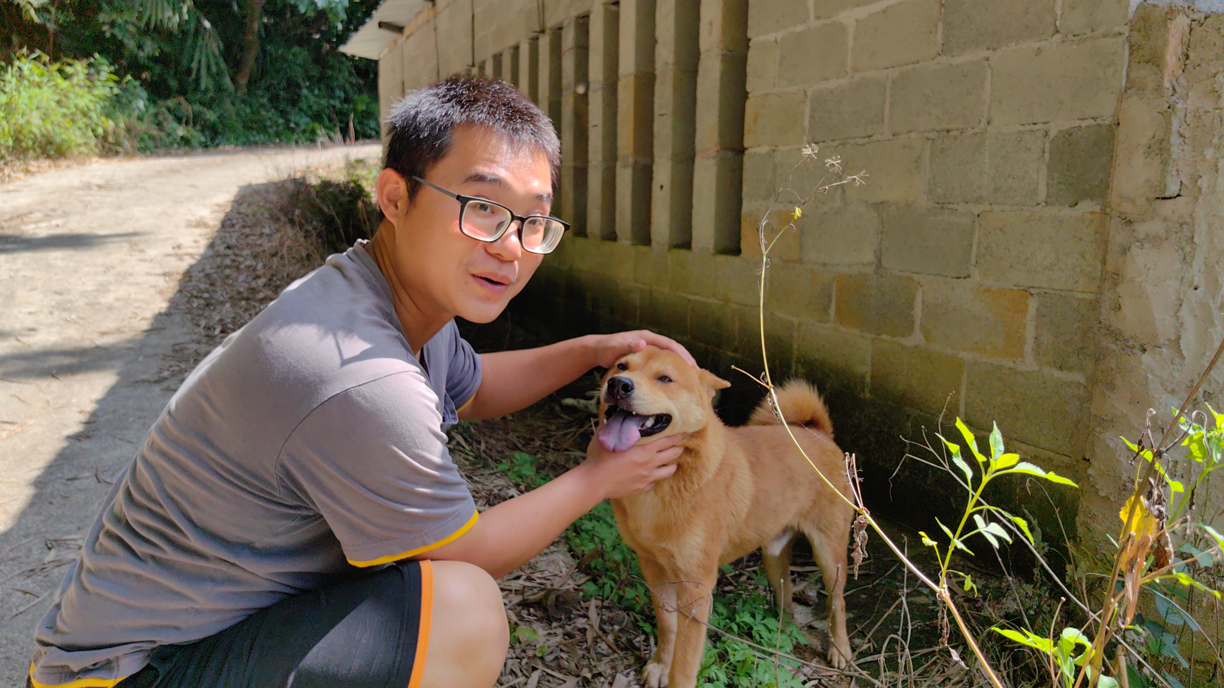 农村找狗随处可见中华田园犬,家里养的两条狗一路追随,很有灵性