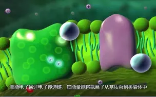 Video herunterladen: 【3D演示】光合作用（中配版）