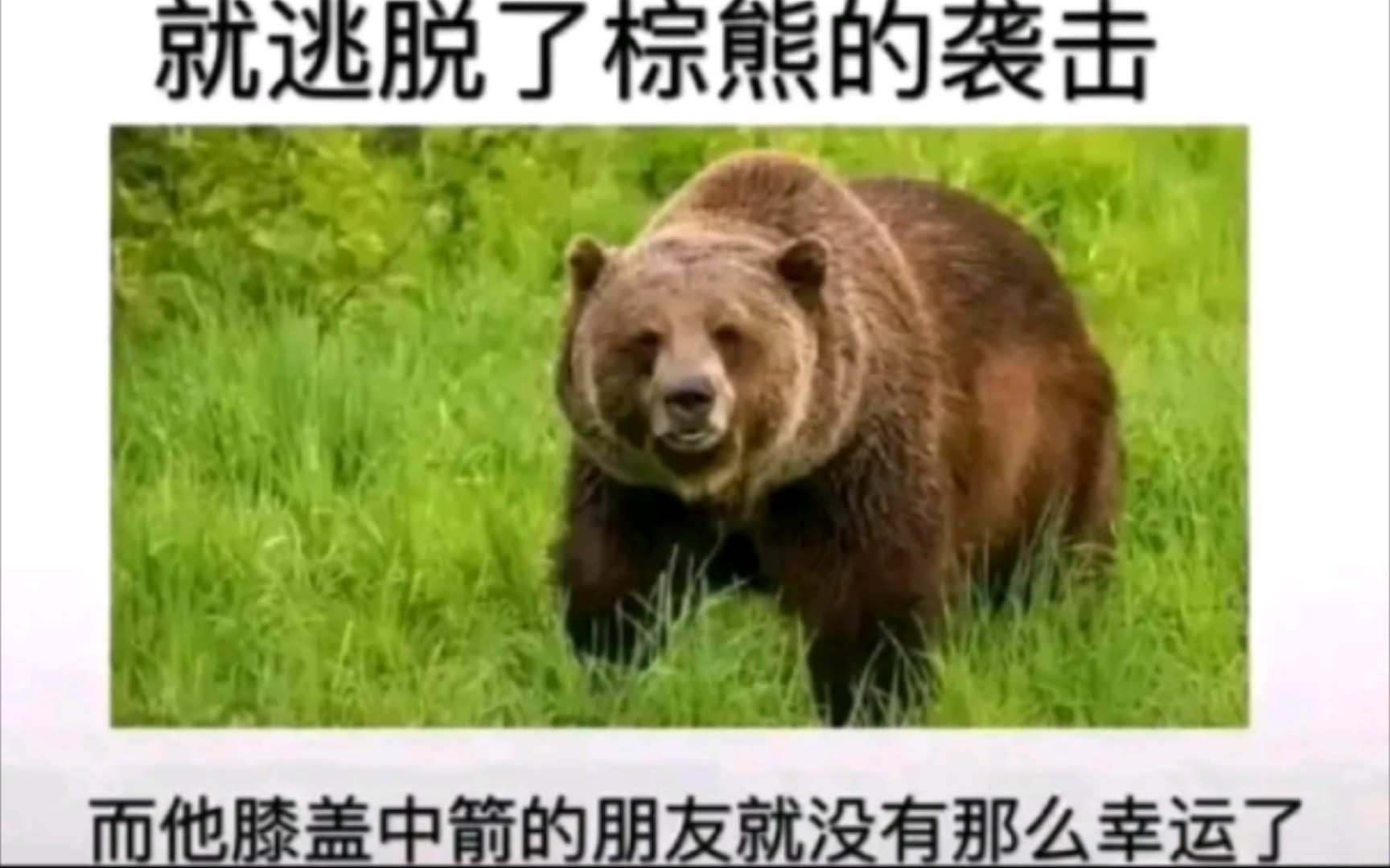 网络上笑死人的沙雕搞笑图片哔哩哔哩bilibili