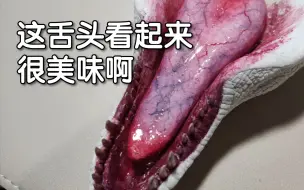 Download Video: 这次尝试认真涂一次口腔