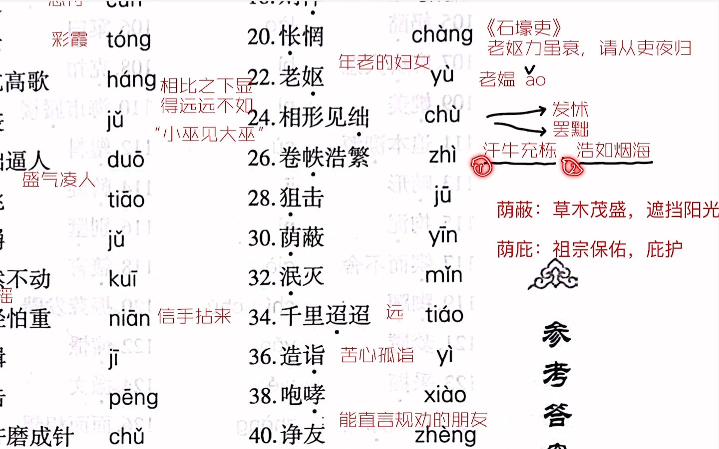 中考语文满分|基础字音易读错200字【第二期】,每天坚持打卡,收获满满.哔哩哔哩bilibili