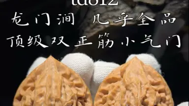 文玩核桃龙门涧-哔哩哔哩_Bilibili