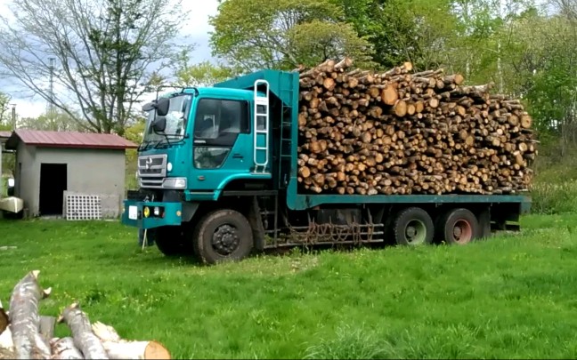 六驱日野环保鹰拉木车