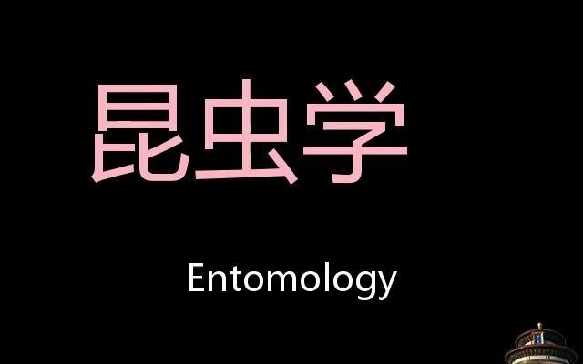 昆虫学 Chinese Pronunciation Entomology哔哩哔哩bilibili