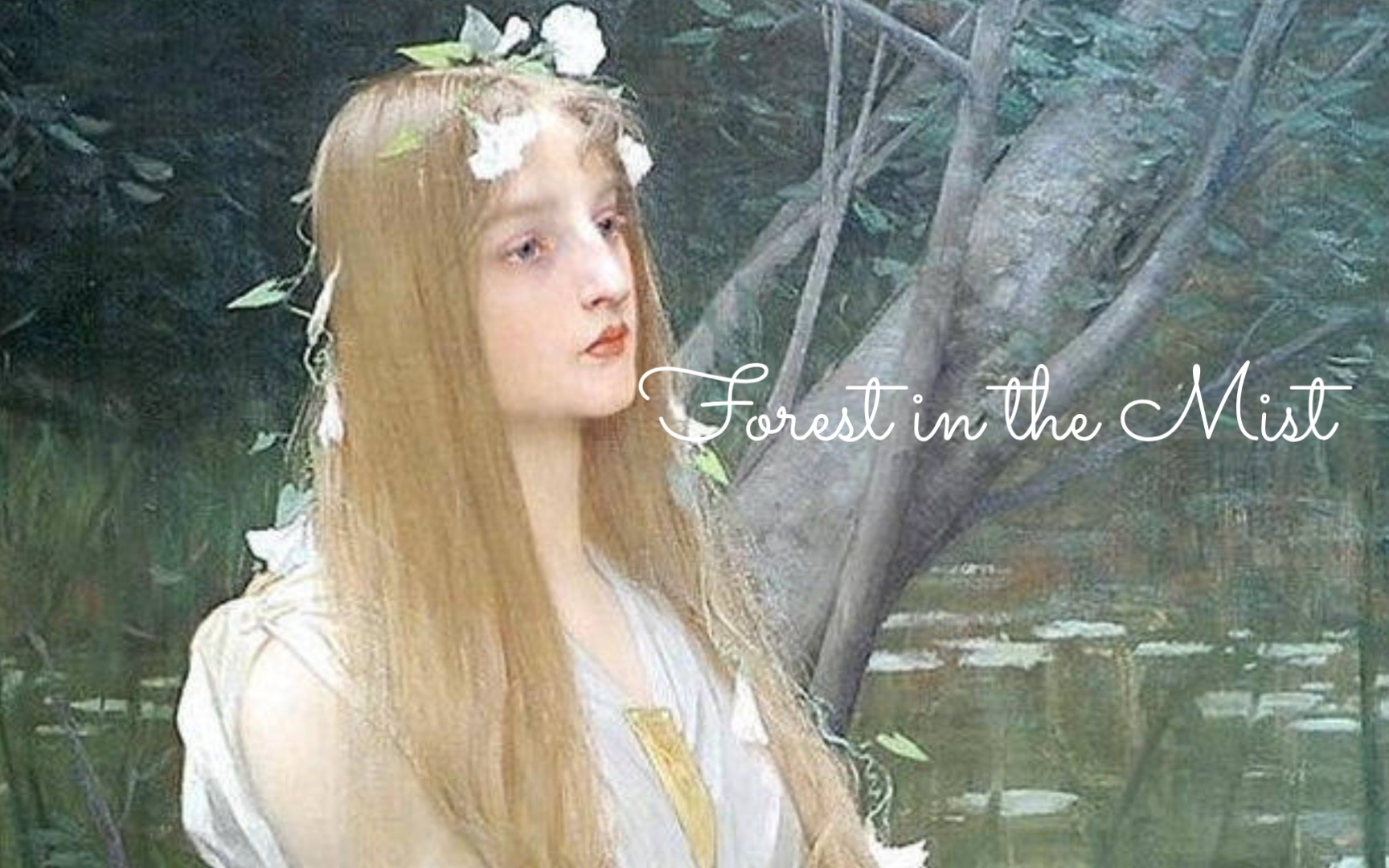 治愈/清新/小众/英文歌曲~Forest in the Mist(雾中的森林)哔哩哔哩bilibili