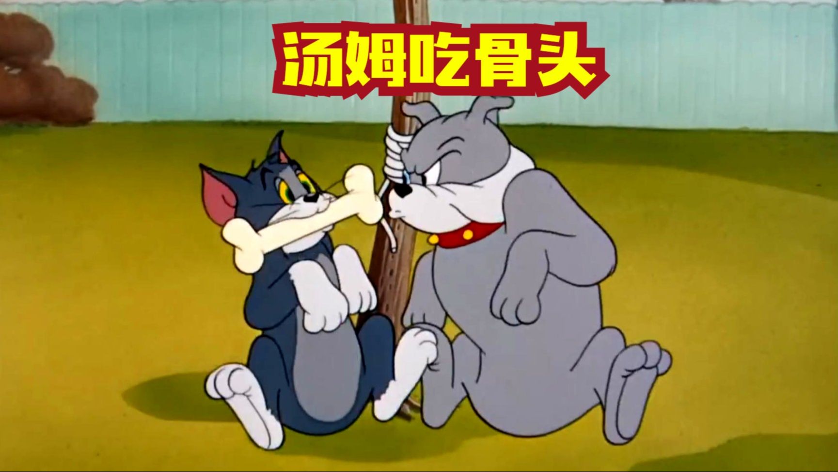 斯派克的骨头被汤姆叼着