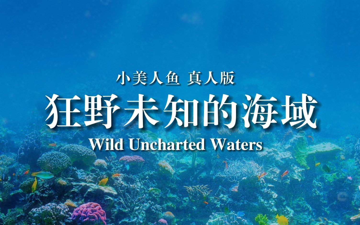 小美人鱼 真人版——Wild Uncharted Waters 普通话版哔哩哔哩bilibili