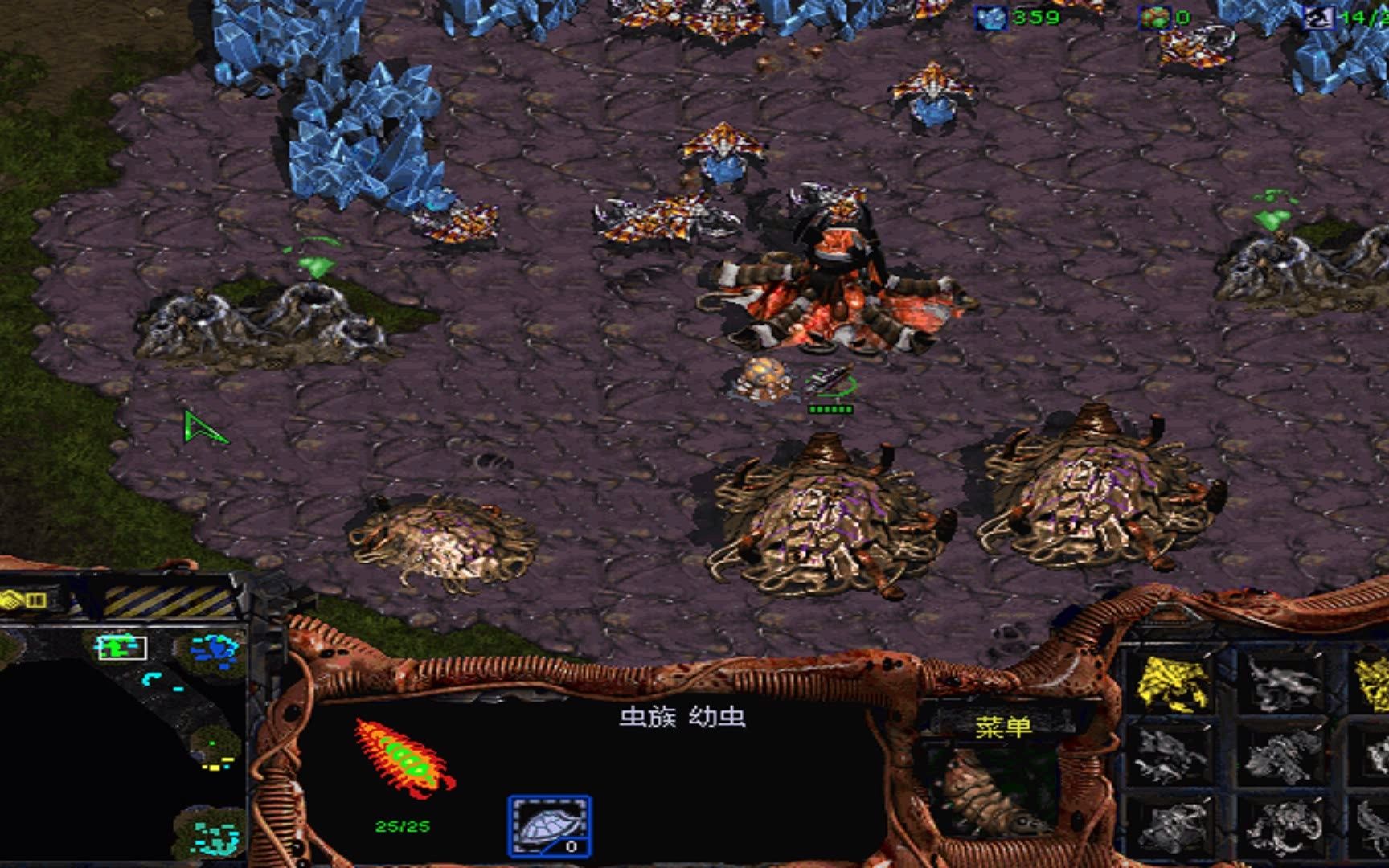 【big game hunters】虫族堵口铸造的钢铁防线(坦克:你说啥?