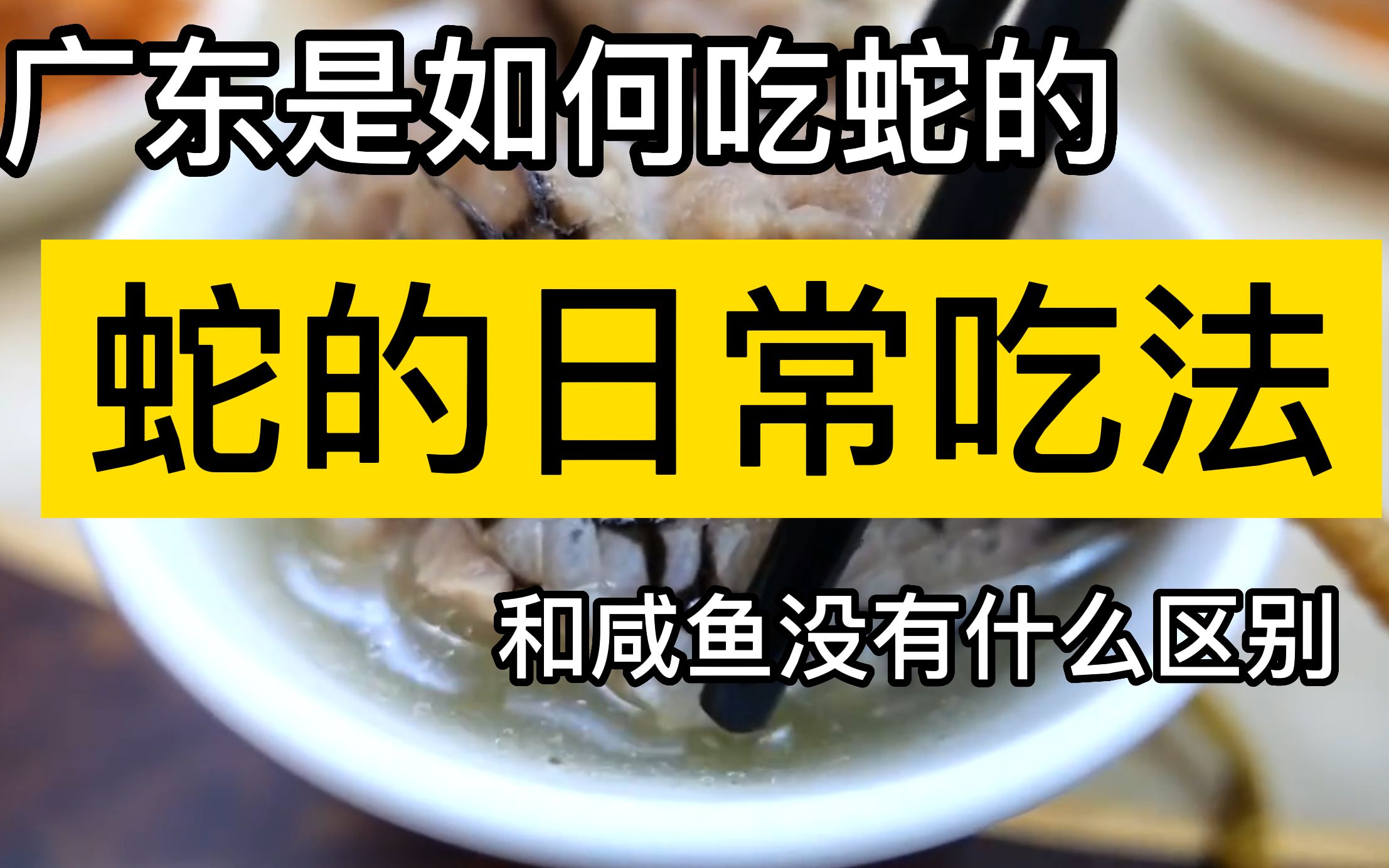 去广东玩,你一定要了解蛇肉的各种吃法,食欲终究会帮你战胜恐惧哔哩哔哩bilibili