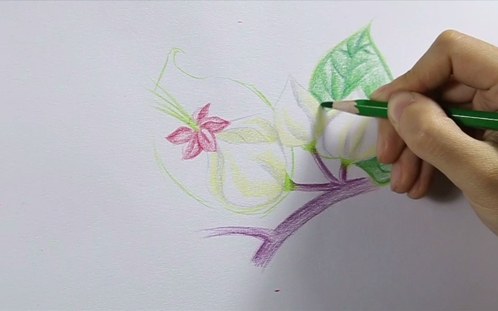 手把手教幼儿绘画教学教程视频彩色铅笔简笔画法:龙吐珠的画法