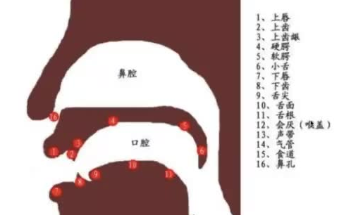 【英语学习】ACE字母音标哔哩哔哩bilibili