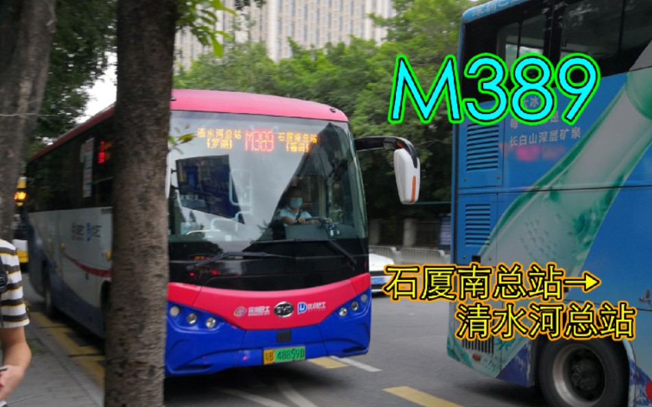 [已取消]【深圳公交】M389全程(石厦南总站→清水河总站)6倍速POV哔哩哔哩bilibili