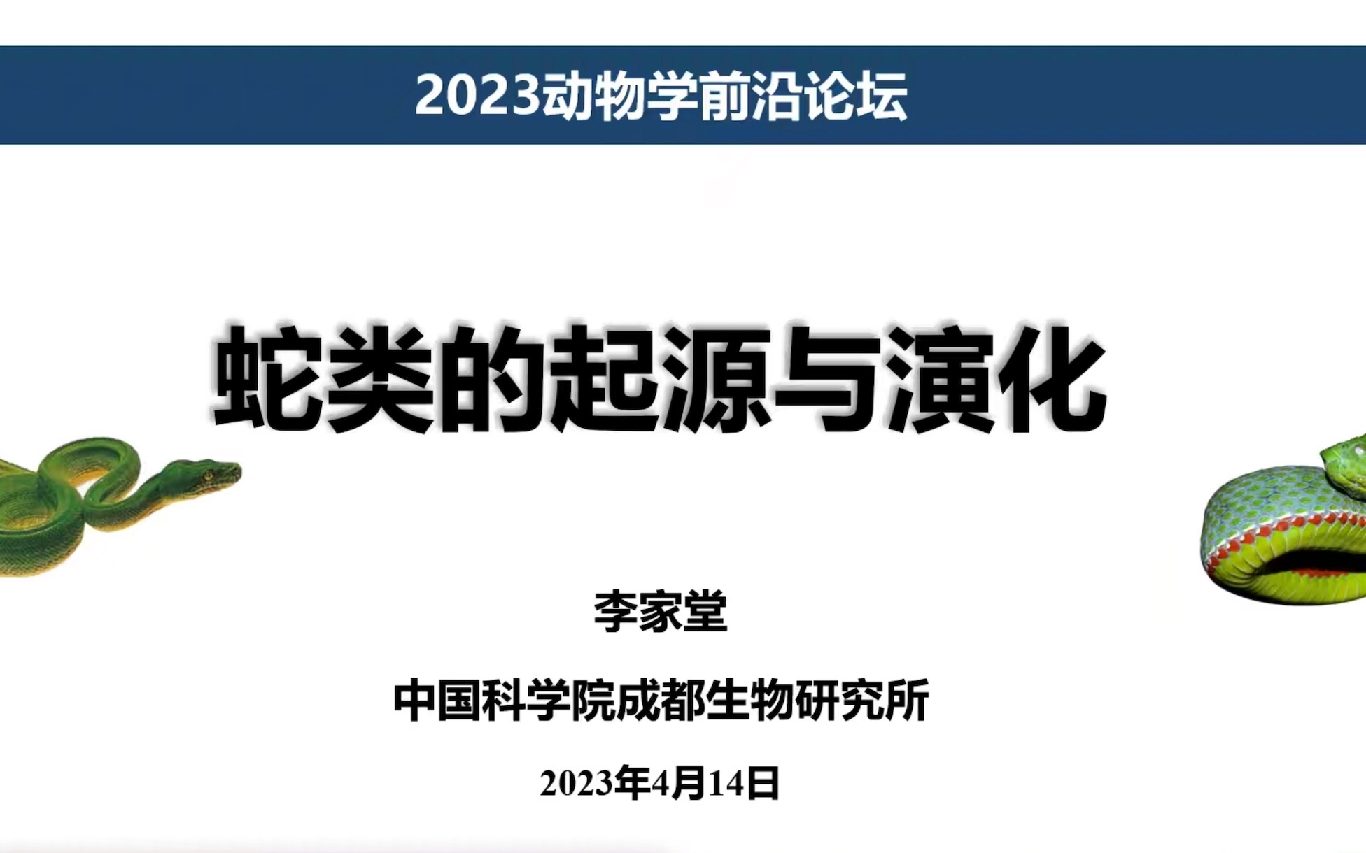 【2023FZS】蛇类的起源与演化哔哩哔哩bilibili