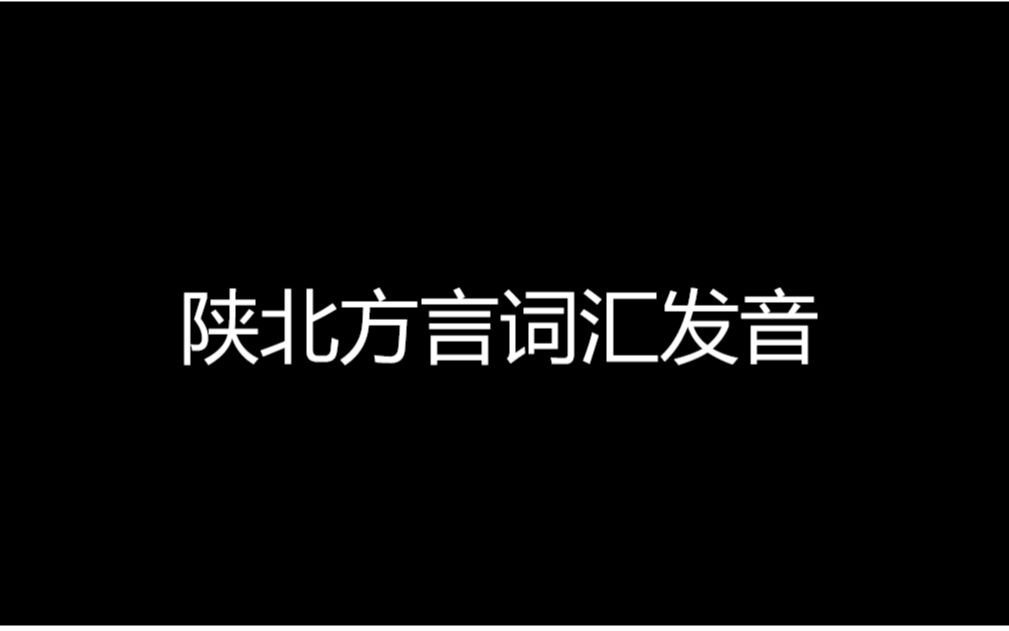 陕北方言词汇发音哔哩哔哩bilibili