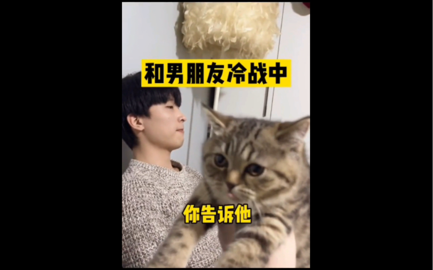 猫:???真悔气哔哩哔哩bilibili