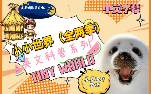 Youtube英语屋的个人空间 哔哩哔哩 Bilibili