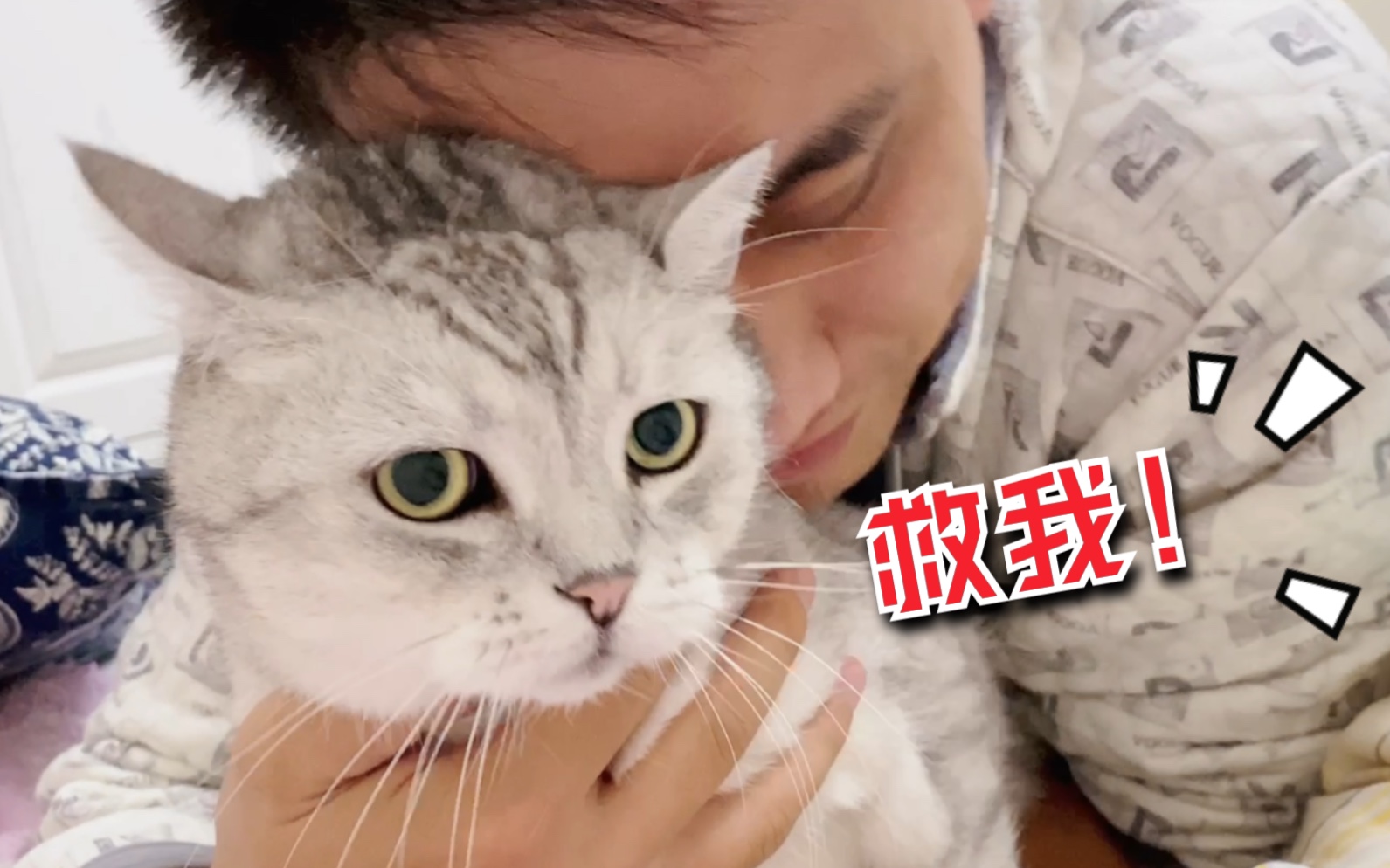 这大概就是痴汉级别的吸猫吧