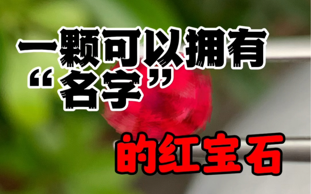 你想为这颗红宝石起名字么?哔哩哔哩bilibili