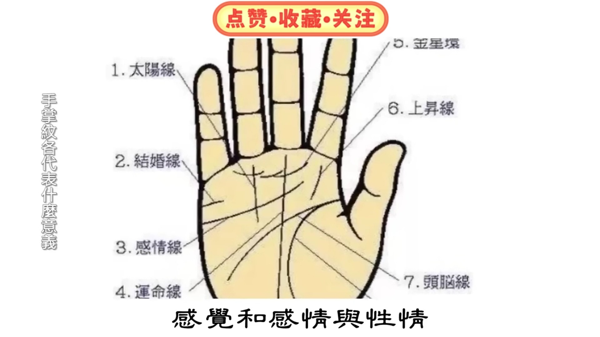 手掌纹各代表什么意义