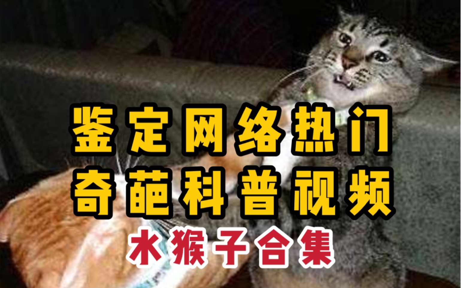 [图]【鉴定】网络科普：水猴子特别篇