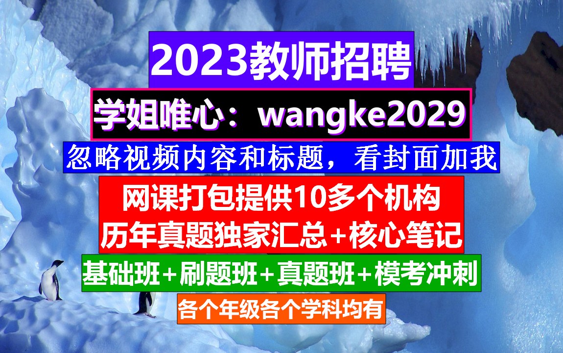 全国教师招聘幼儿园学科知识,教师招聘信息在哪发布,教师编考试时间哔哩哔哩bilibili