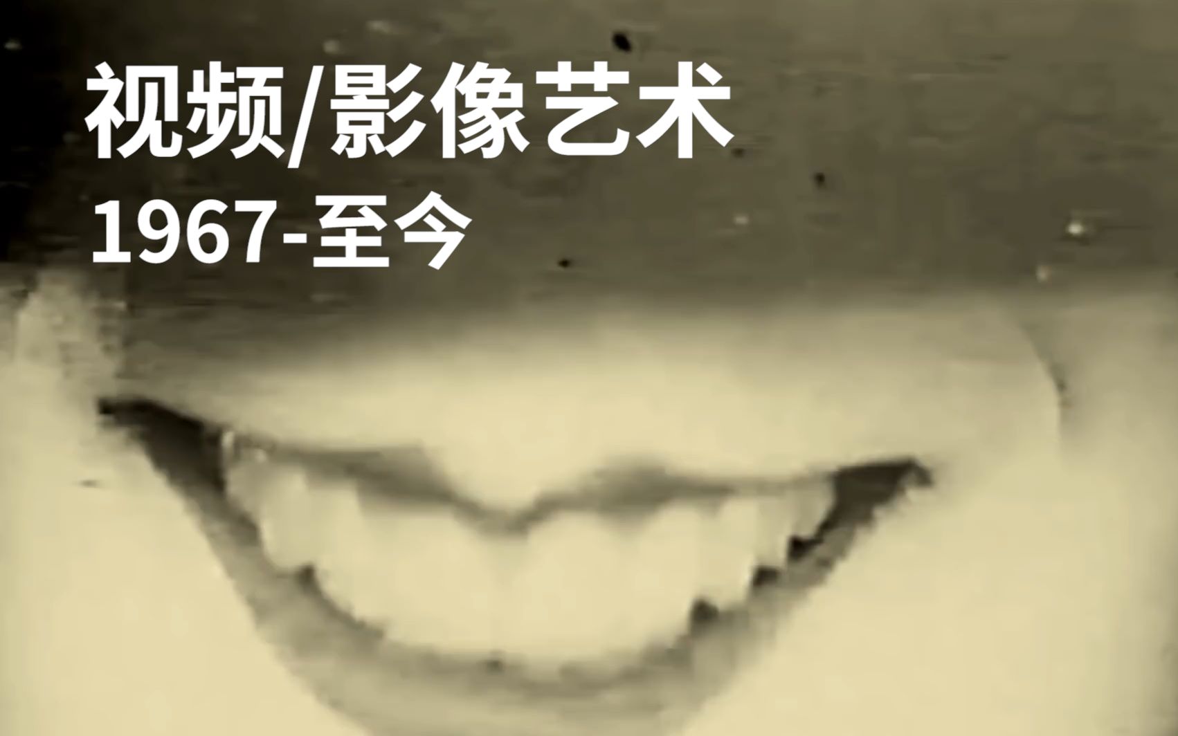 [图]视频/影像艺术（1967-至今）