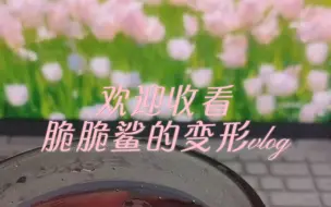 下载视频: 水痘大战一触即发