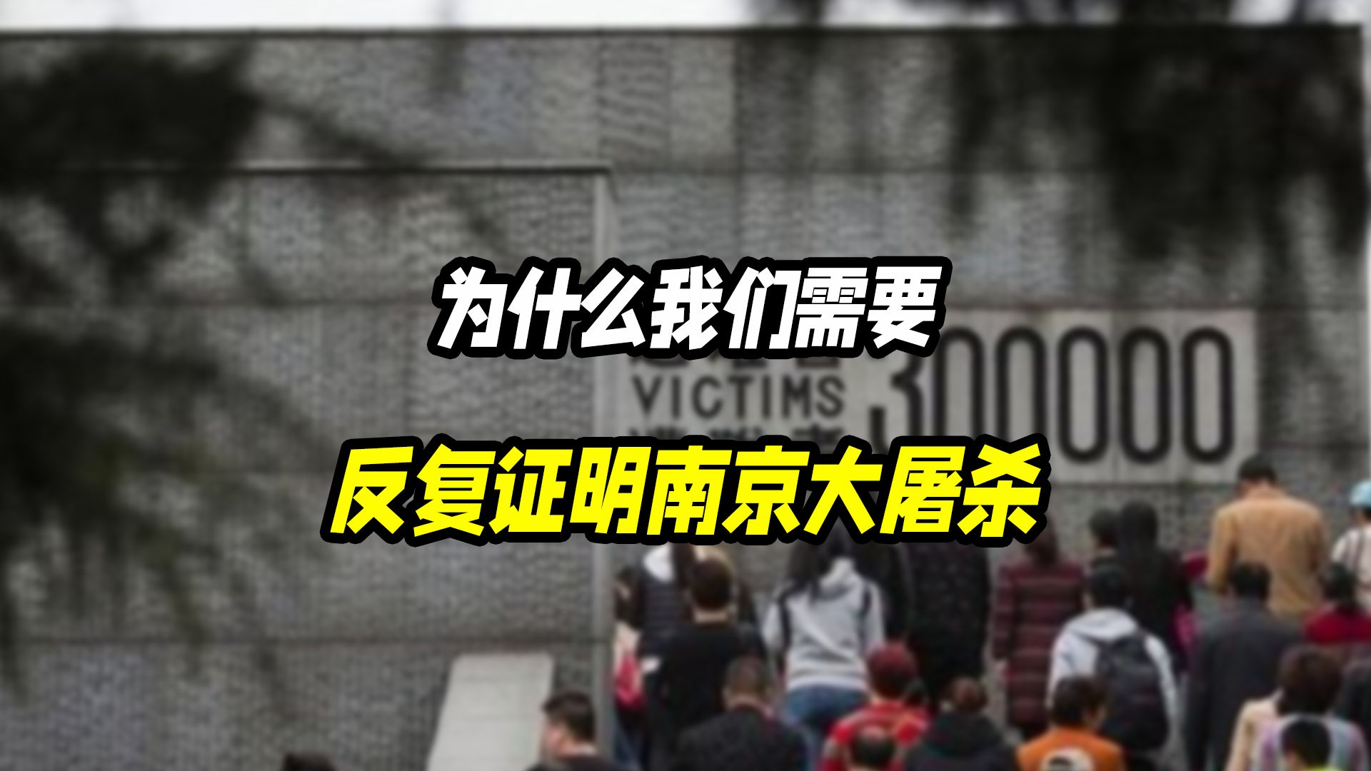 为什么我们需要反复证明南京大屠杀,犹太人就不需要证明?哔哩哔哩bilibili