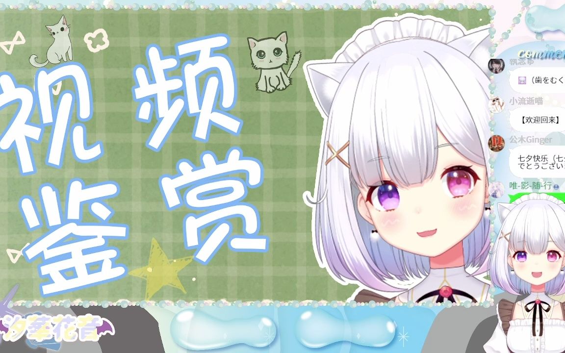 录播2022年8月4日【B限】一起看有趣的视频!哔哩哔哩bilibili