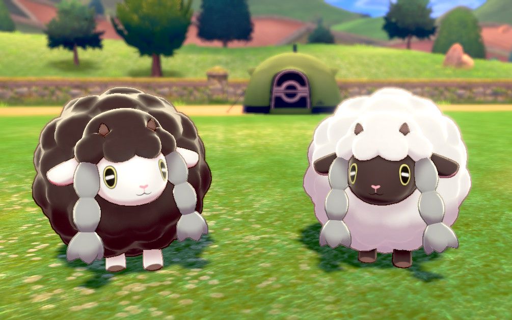 galar no.034 异色毛辫羊_哔哩哔哩bilibili