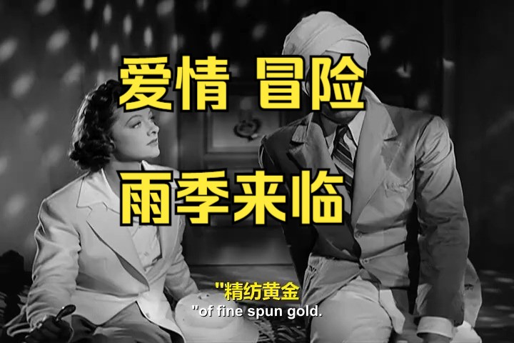 雨季来临(1939)The Rains Came美国冒险爱情哔哩哔哩bilibili