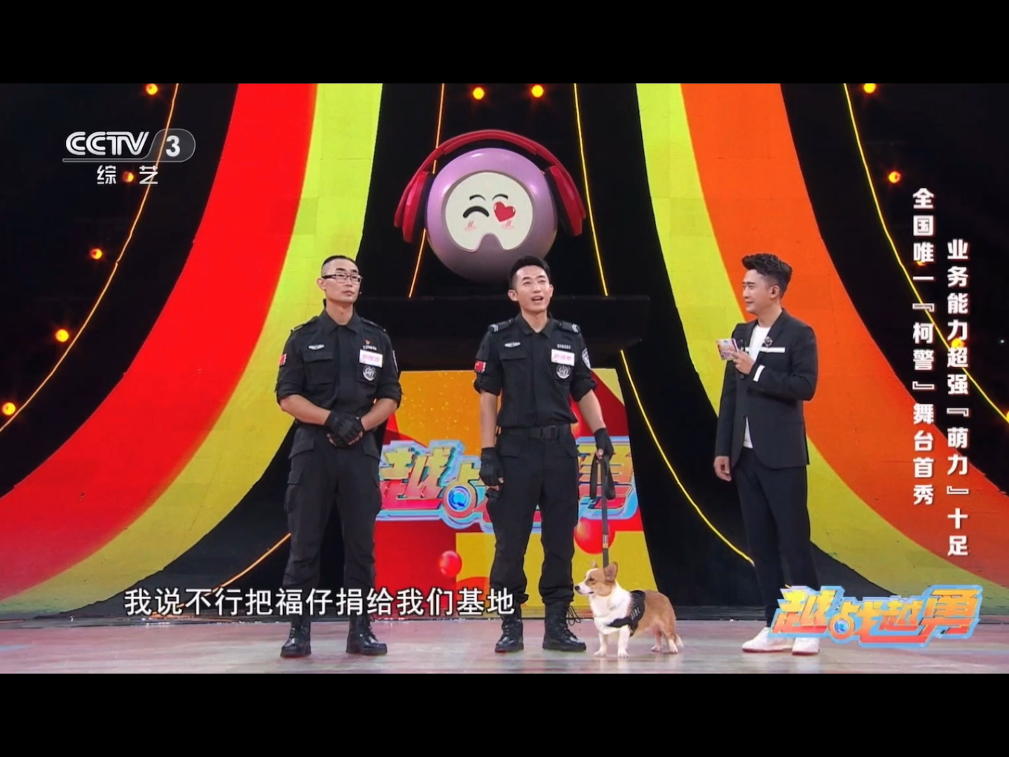 福仔央视首秀! cctv3哔哩哔哩bilibili