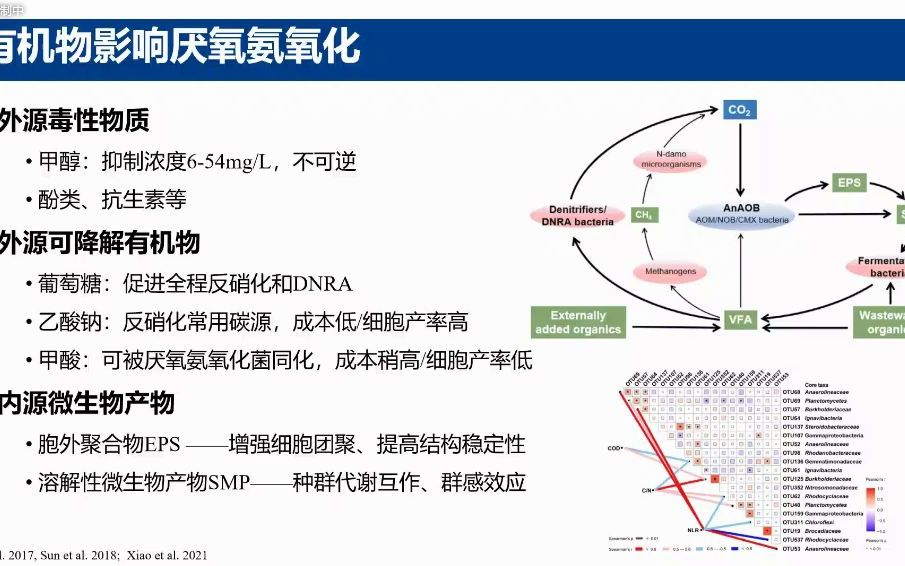 污水厌氧氨氧化有机质代谢特征级工程启示(逯会杰 浙江大学 2021.10.30)哔哩哔哩bilibili